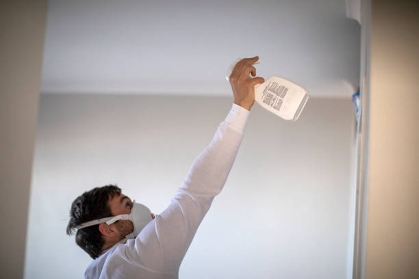 Best Mold Remediation  in West Elmira, NY