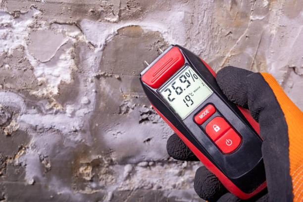 Crawl Space Mold Removal in West Elmira, NY