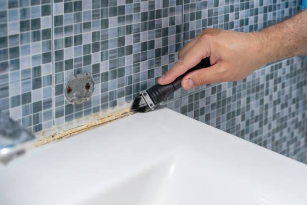 Best Toxic Mold Removal  in West Elmira, NY