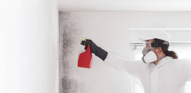 Water Damage Restoration in West Elmira, NY