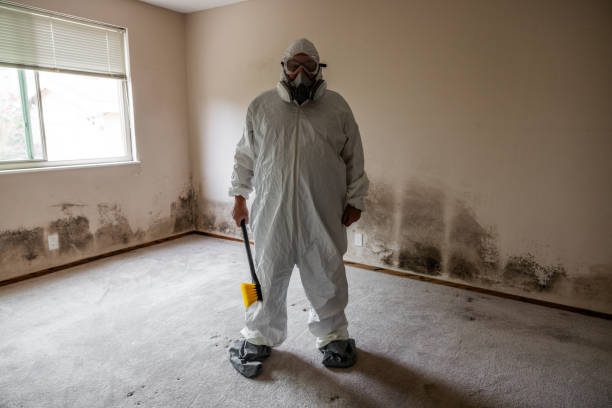 Best Residential Mold Removal  in West Elmira, NY